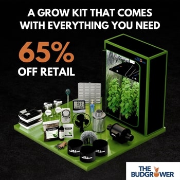 A grow kit that comes with everything you need to grow indoors.