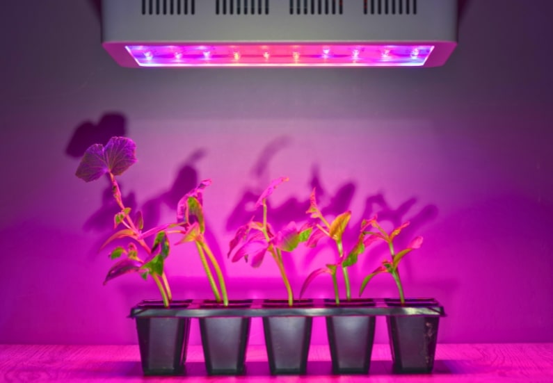 Ultimate Guide to LED Grow Lights