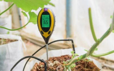 Ultimate Guide to Using Digital pH Meters