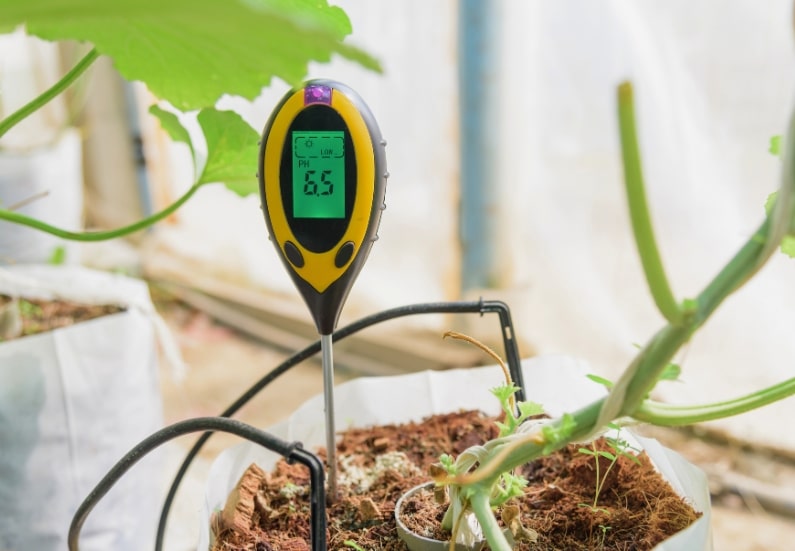 The ultimate guide on how to us a pH soil tester.