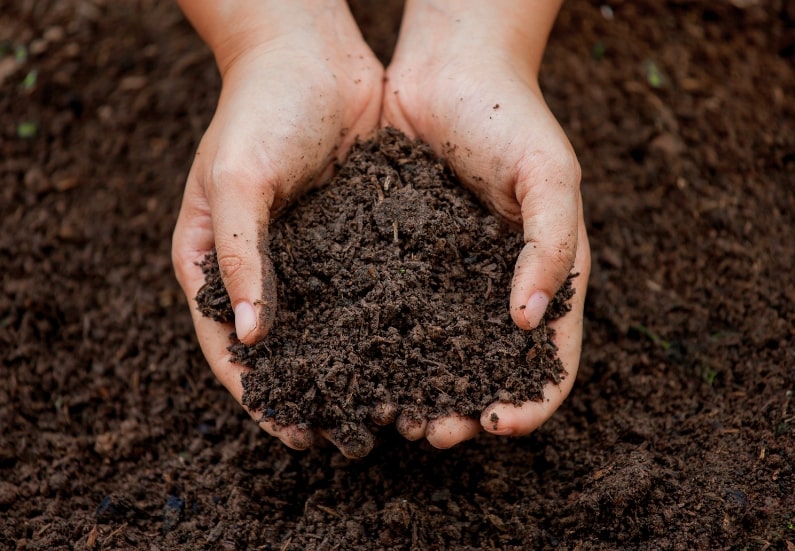 What is the best soil type for an indoor grow box?