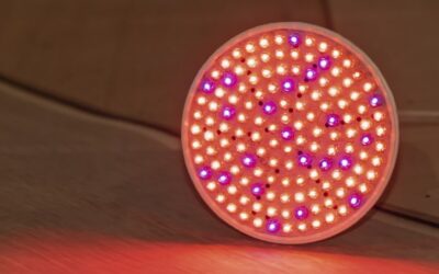 Ultimate Guide to Smart Grow Lights with Wi-Fi Control