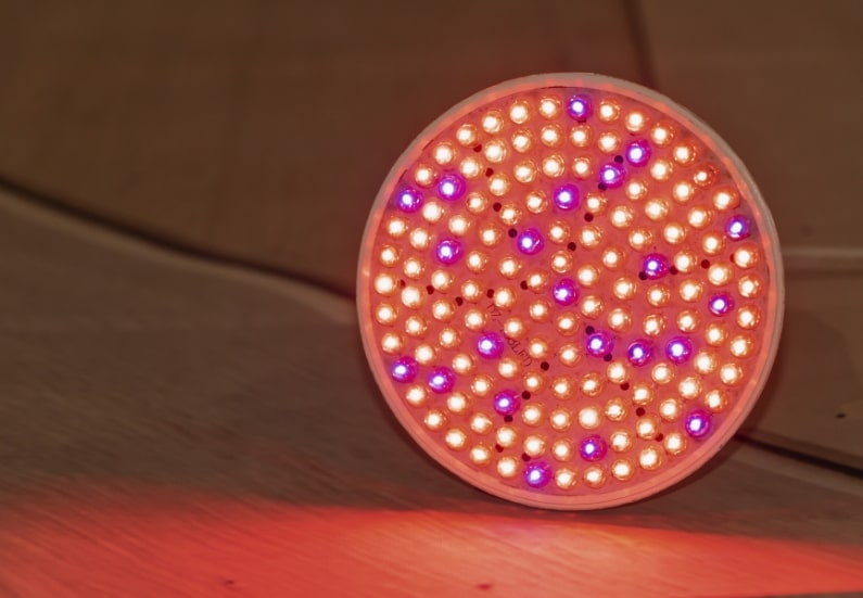 The ultimate guide to smart grow lights with Wi-Fi-control