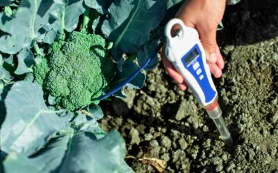 Best Soil pH Testers with Digital Readouts