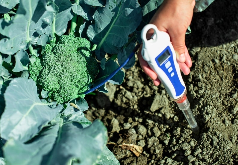 The best soil Ph testers with digital readouts.