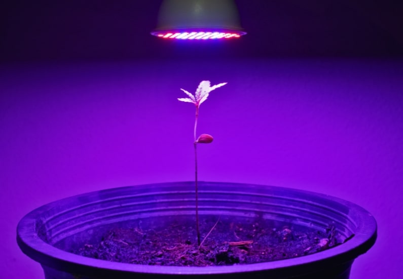 How to troubleshoot indoor grow box lights.