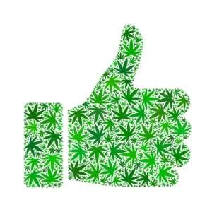 Best of the best online cannabis stores.