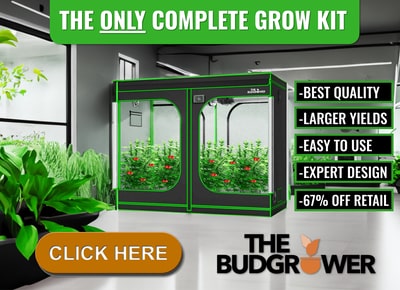 Everything a beginner needs to start growing cannabis indoors.