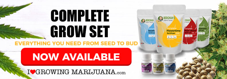 Everything you need to start growing cannabis indoors in one affordable kit.